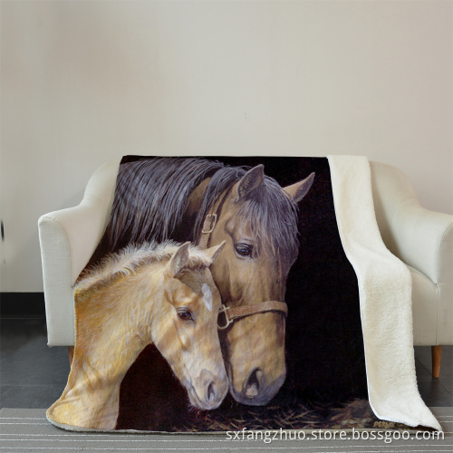 MOQ 100 OEM custom 3D digital print flannel blanket